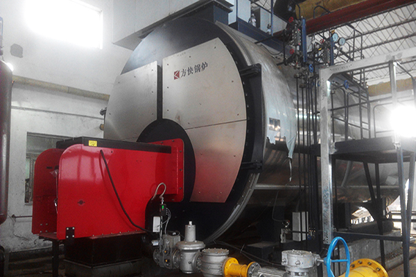 力邦製藥有限公司6噸一體燃氣蒸汽鍋爐案例